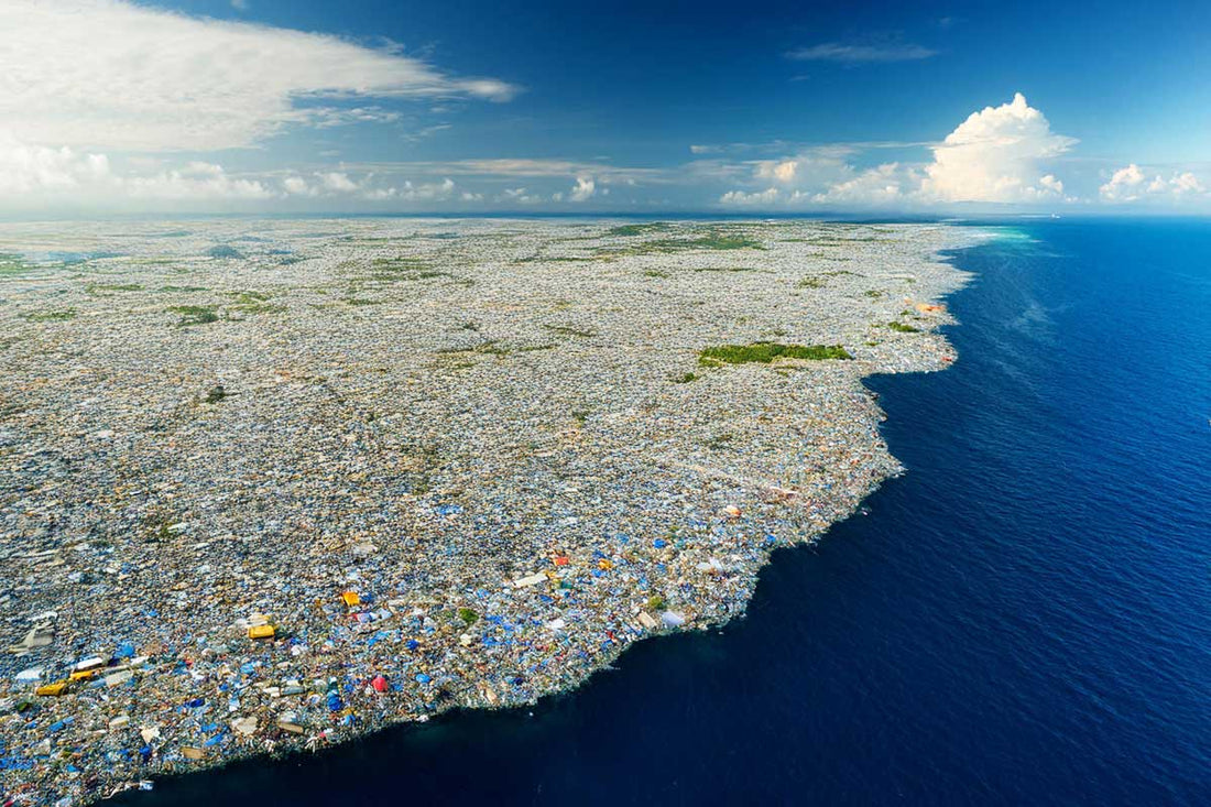 Garbage Island And The Effect It's Having On Deep Ocean creatures