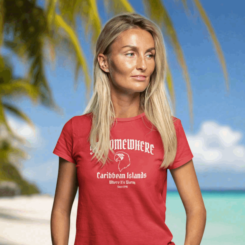 Blond Beach bunny hanging out in Florida sporting her new (vintage looking) St. Somewhere tee shirt 