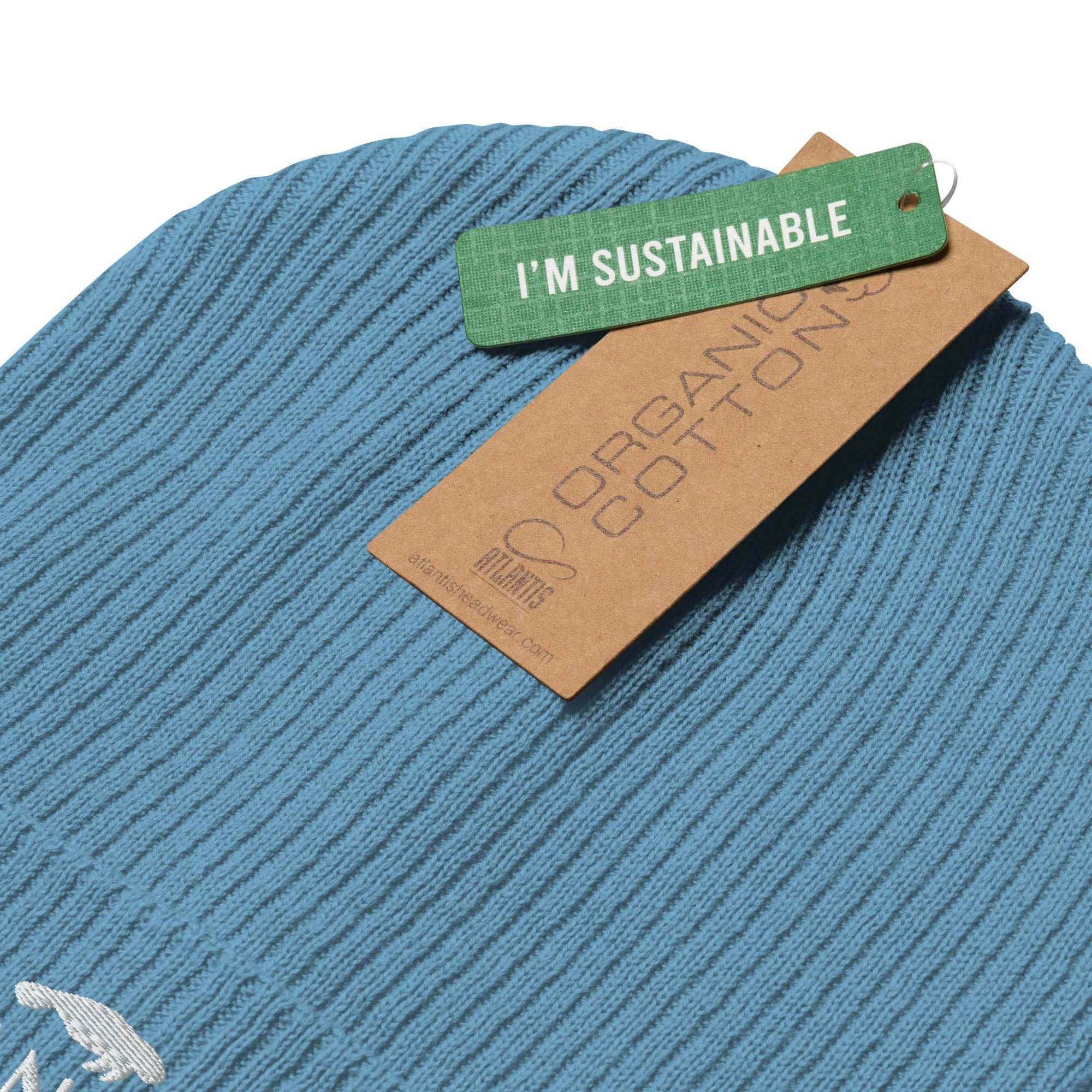 Organic Ribbed Beanie | Clean Seas Society